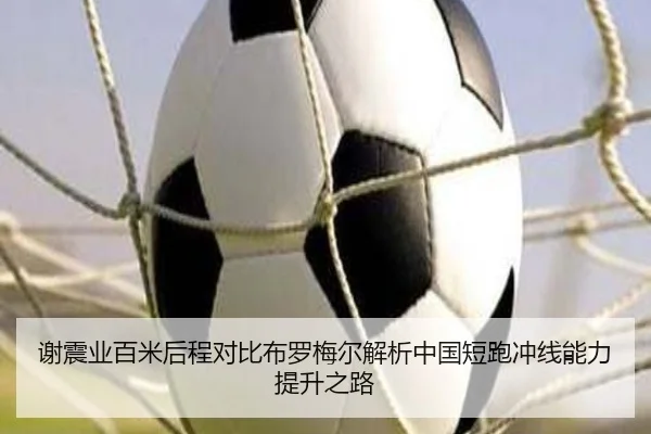 谢震业百米后程对比布罗梅尔解析中国短跑冲线能力提升之路